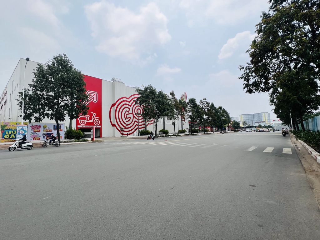 3972403 ảnh đại diện 1