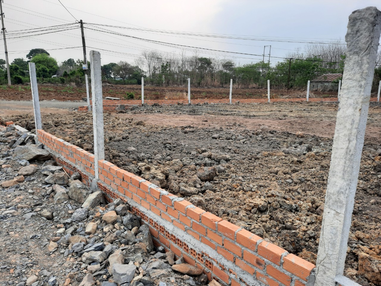3972792 ảnh đại diện 2