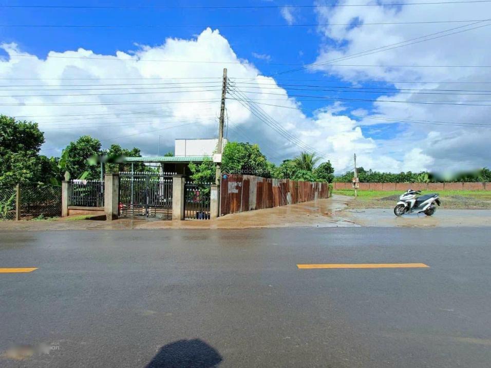 3971152 ảnh đại diện 2