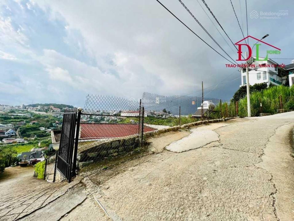 3971751 ảnh đại diện 2