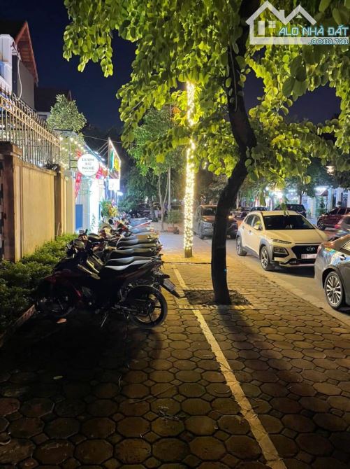 3973501 ảnh đại diện 1