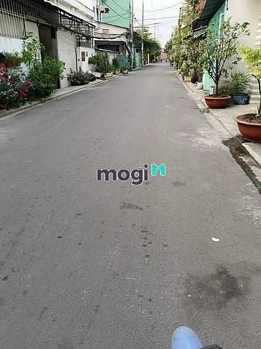 3973583 ảnh đại diện 1