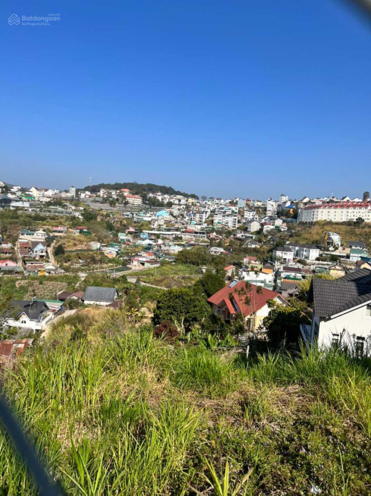 3971753 ảnh đại diện 1