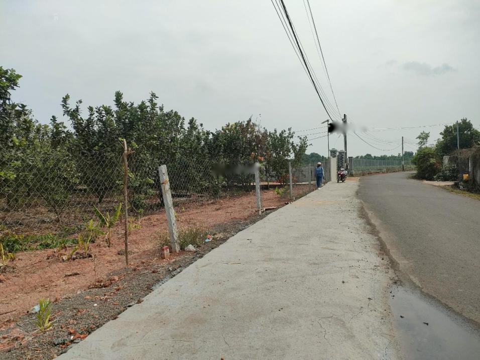 3971146 ảnh đại diện 2
