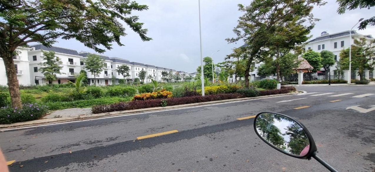 3977629 ảnh đại diện 2