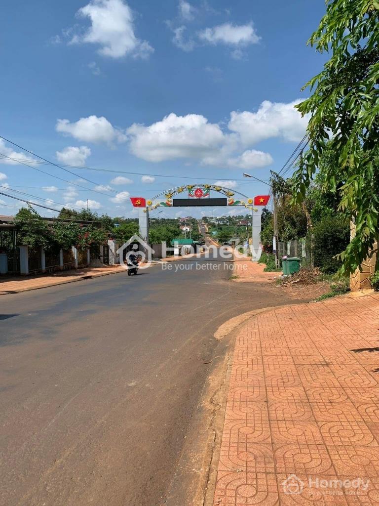 3975488 ảnh đại diện 1