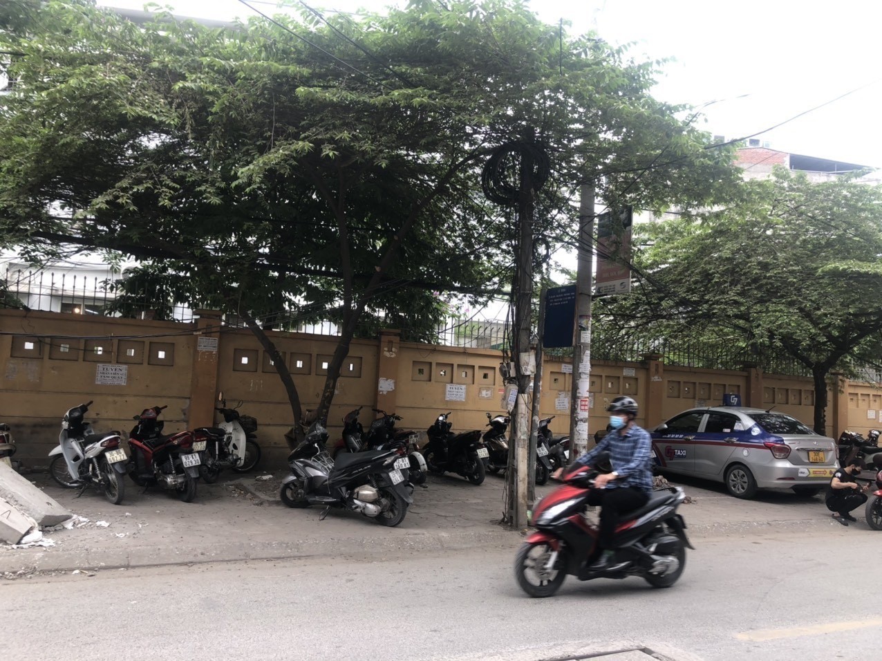 3975803 ảnh đại diện 2