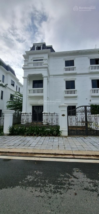 3977629 ảnh đại diện 1