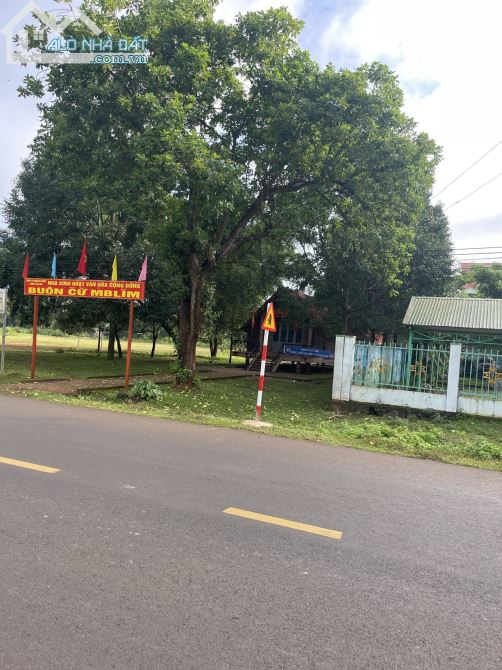 3979083 ảnh đại diện 2