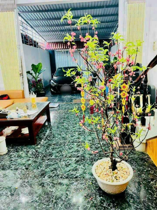 3978141 ảnh đại diện 1