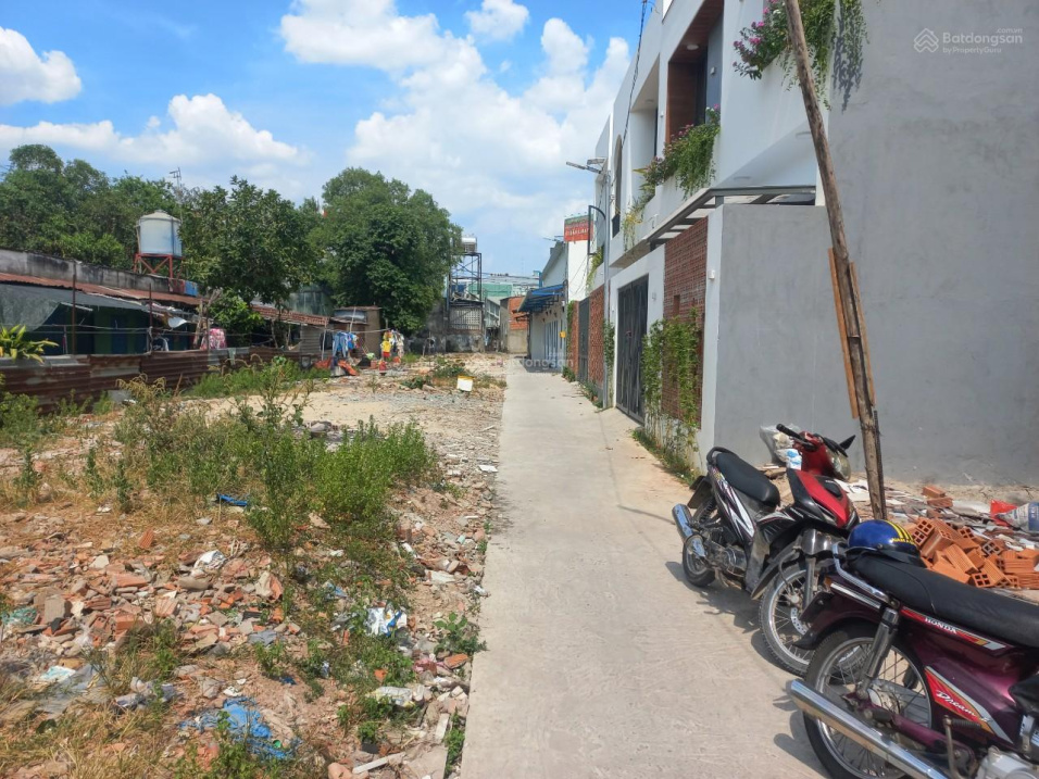 3977348 ảnh đại diện 1
