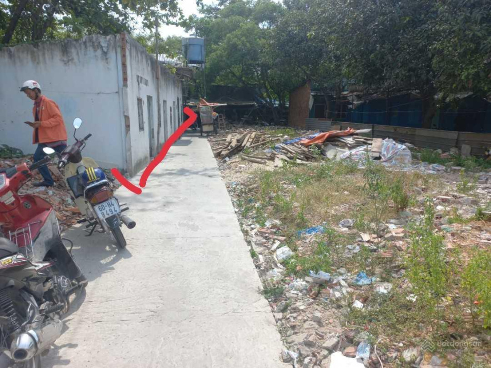 3977348 ảnh đại diện 2
