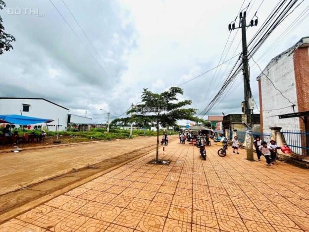 3979442 ảnh đại diện 1