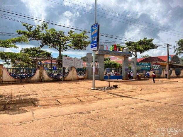 3979441 ảnh đại diện 1