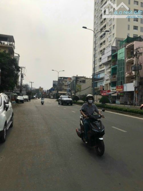 3979428 ảnh đại diện 1
