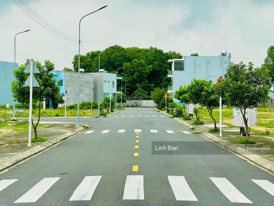 3981557 ảnh đại diện 1
