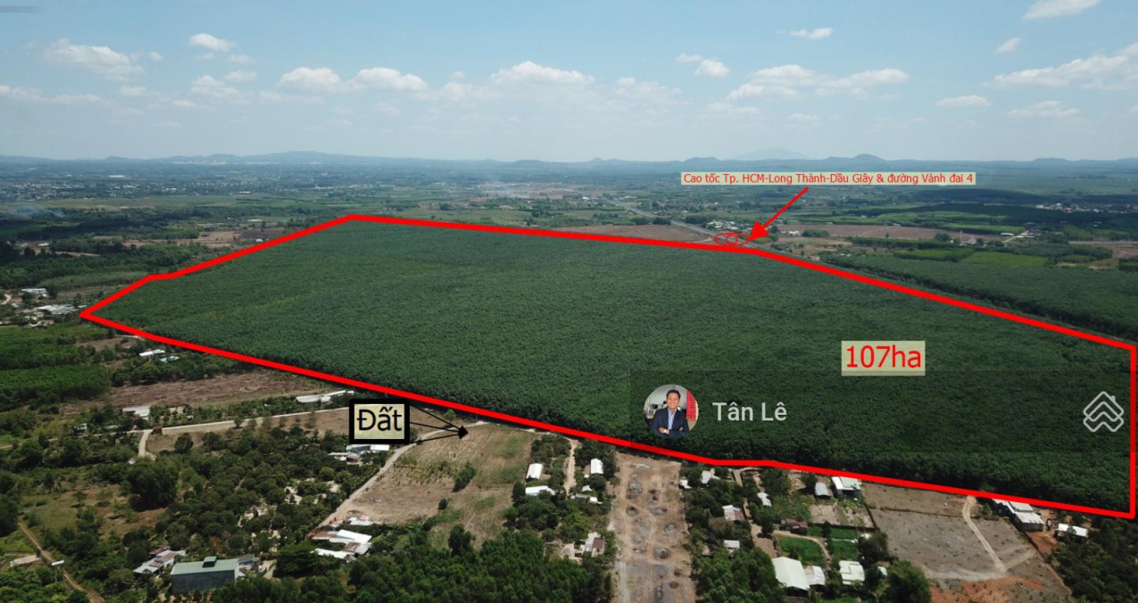 3981020 ảnh đại diện 1