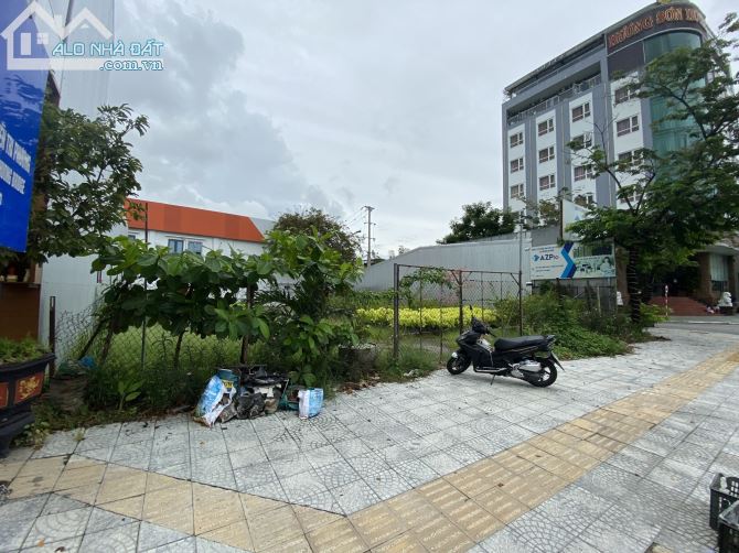 3981137 ảnh đại diện 2