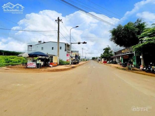 3979442 ảnh đại diện 1