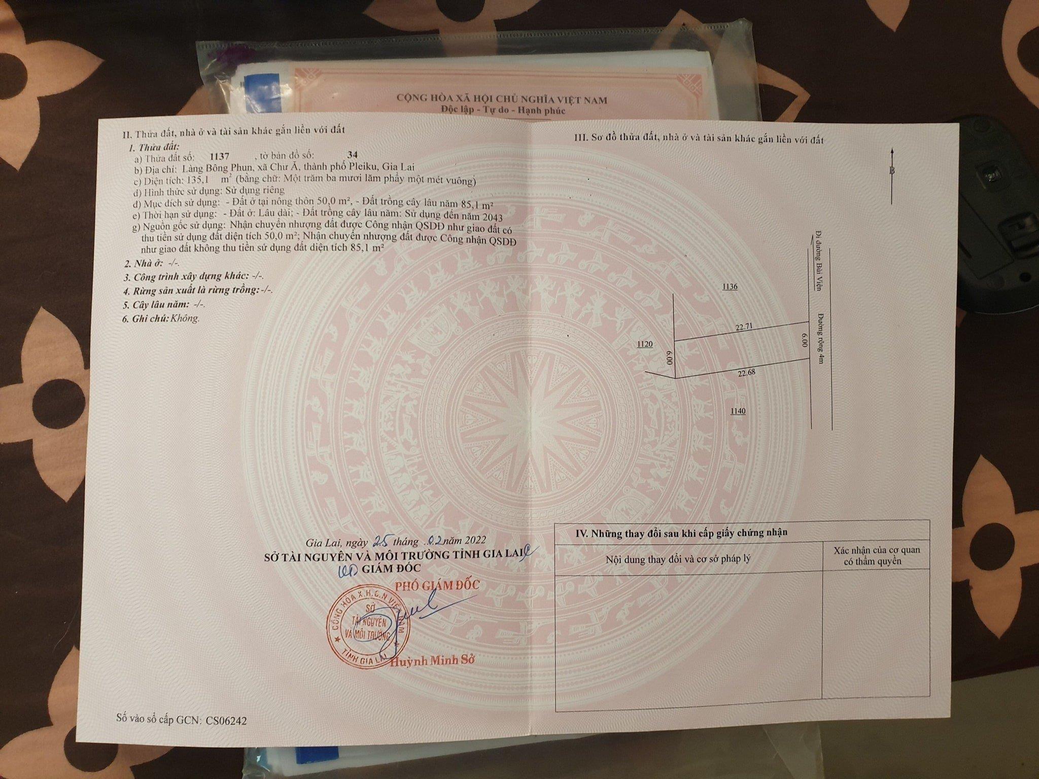 3981295 ảnh đại diện 1