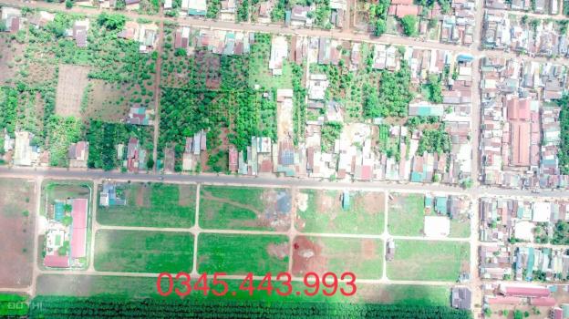 3979427 ảnh đại diện 1