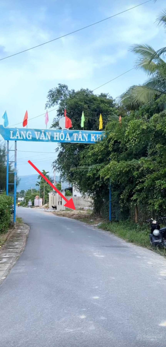 3982007 ảnh đại diện 1