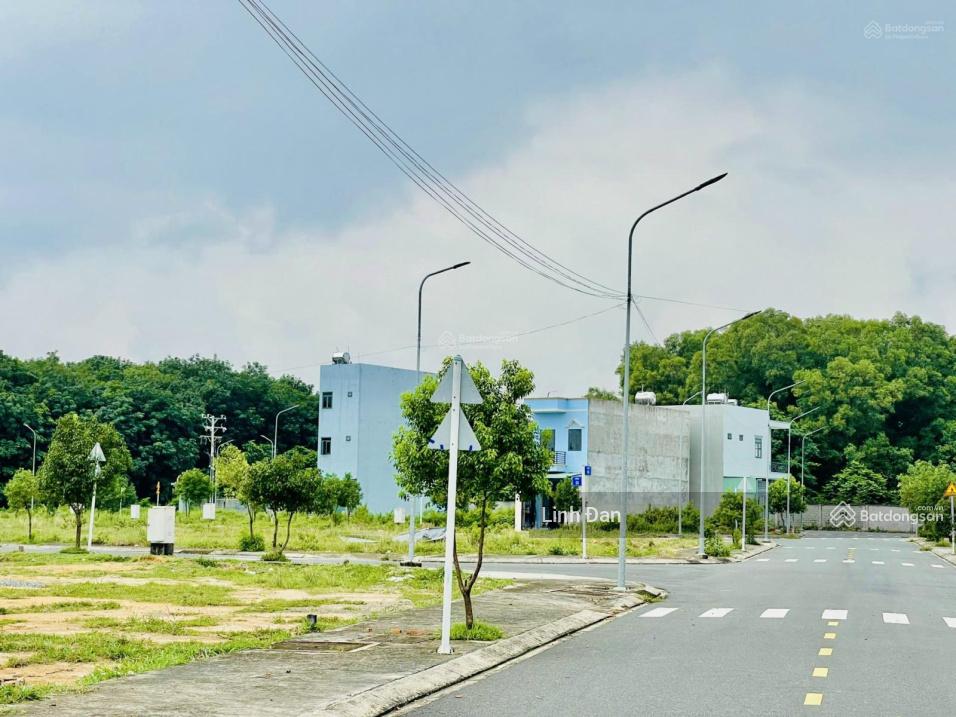 3981557 ảnh đại diện 1