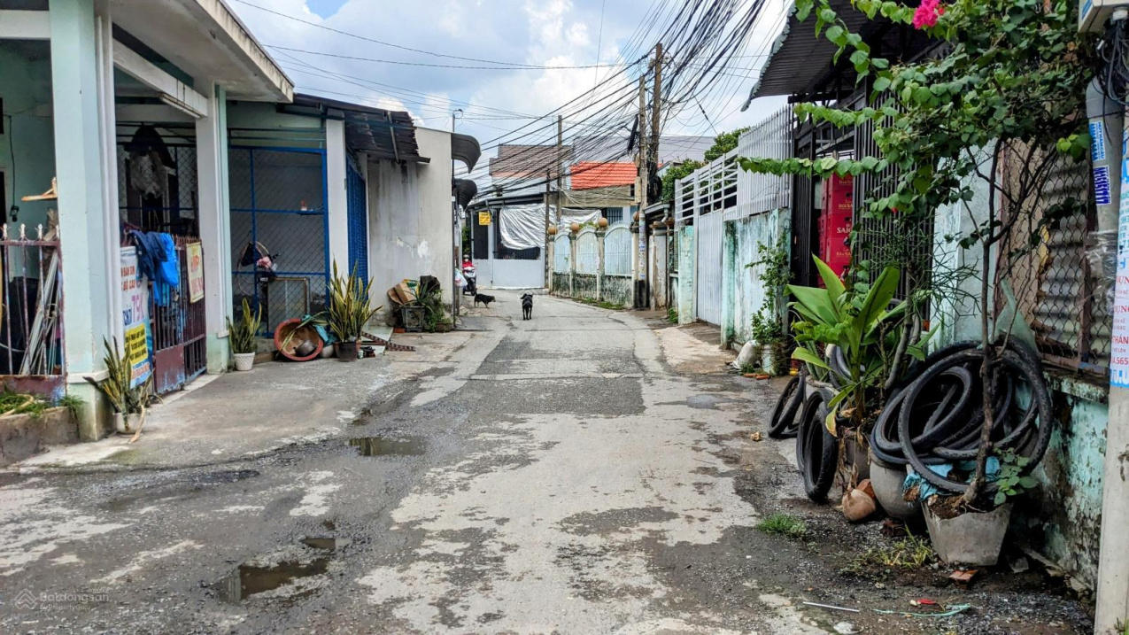 3980225 ảnh đại diện 1