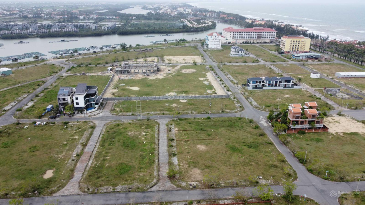 3981947 ảnh đại diện 2