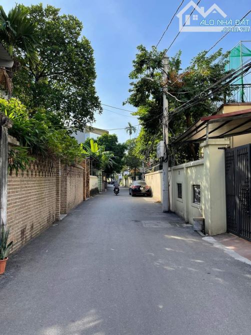 3981595 ảnh đại diện 1