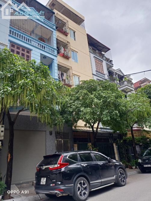 3980496 ảnh đại diện 1