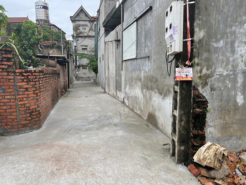 3981126 ảnh đại diện 2