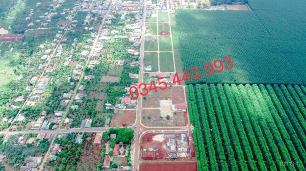 3979425 ảnh đại diện 1