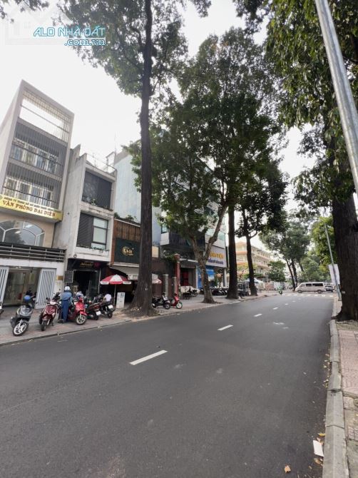 3980265 ảnh đại diện 2