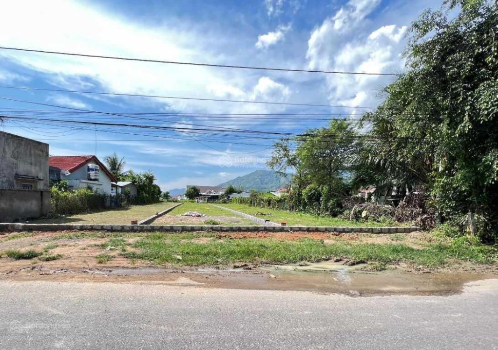 3982007 ảnh đại diện 1