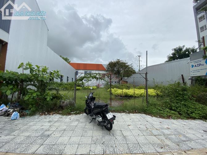 3981137 ảnh đại diện 1