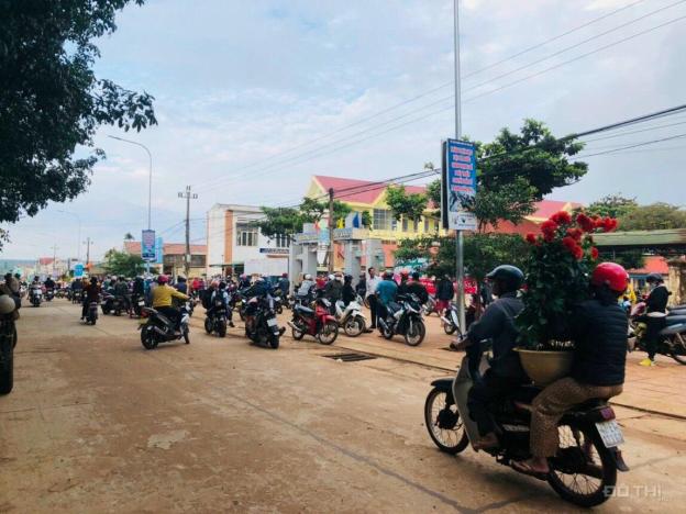 3979441 ảnh đại diện 1