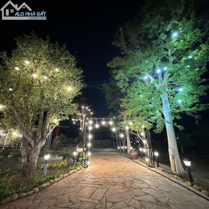 3979577 ảnh đại diện 1