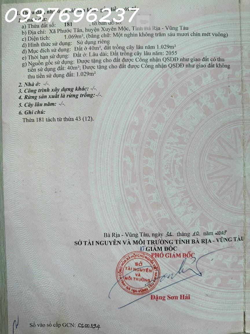 3981338 ảnh đại diện 1