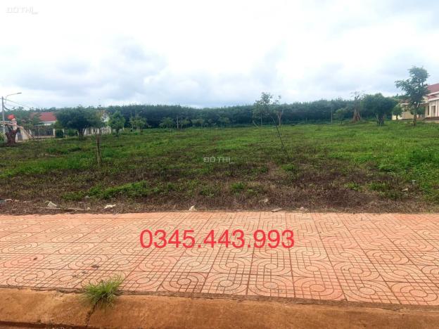 3979425 ảnh đại diện 1