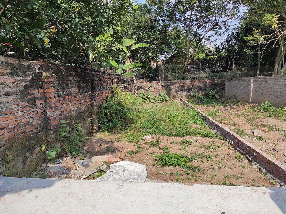 3981126 ảnh đại diện 1