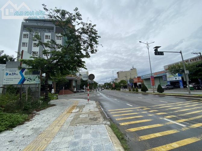 3981137 ảnh đại diện 1