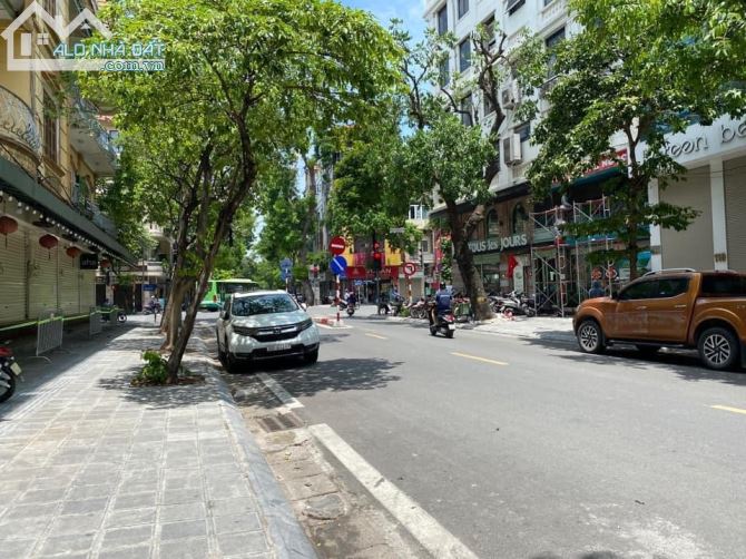 3980496 ảnh đại diện 1