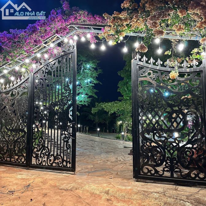 3979577 ảnh đại diện 1