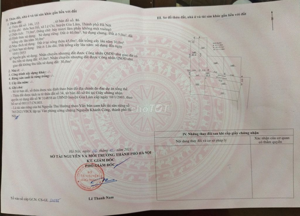 3981126 ảnh đại diện 1