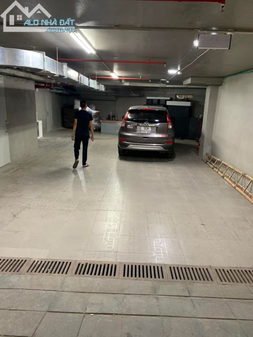 3982138 ảnh đại diện 1