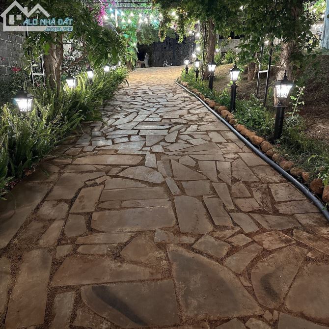 3979577 ảnh đại diện 2