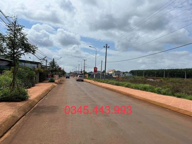 3979427 ảnh đại diện 2