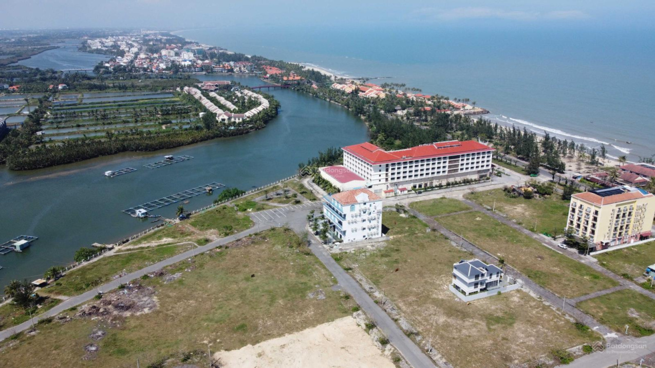 3983563 ảnh đại diện 2