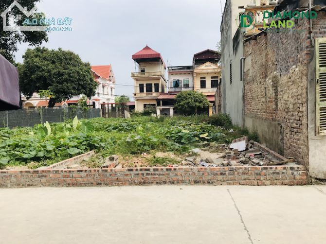 3984746 ảnh đại diện 1